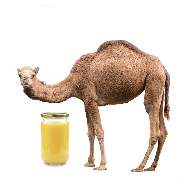 Camel Milk Ghee(16 oz)