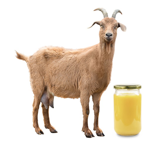 Goat Milk Ghee(16 oz)
