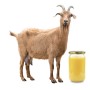 Goat Milk Ghee(16 oz)
