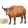 Water Buffalo Milk Butter (8 oz)