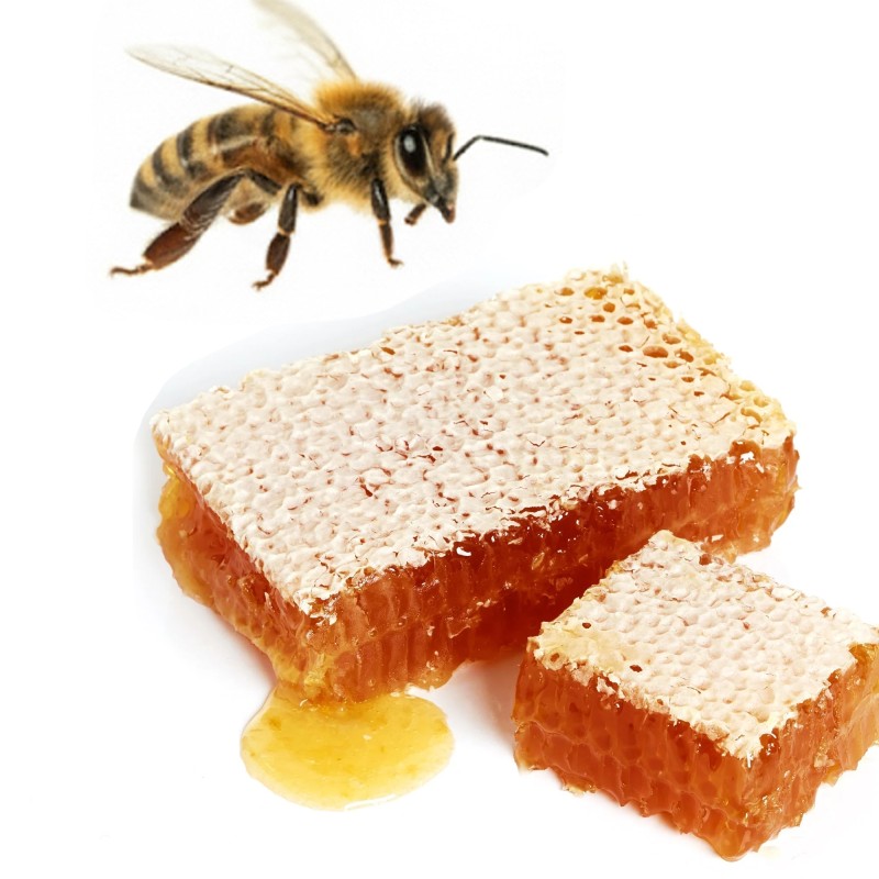 Wild Bee Stone Honey (1 lb)