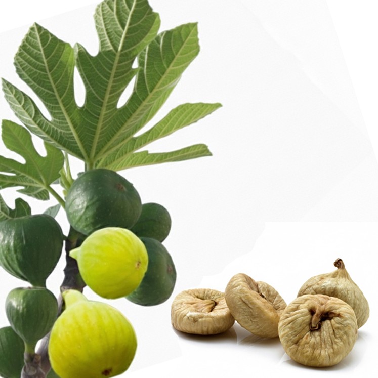 Sun Dried Fig (1 Lb)