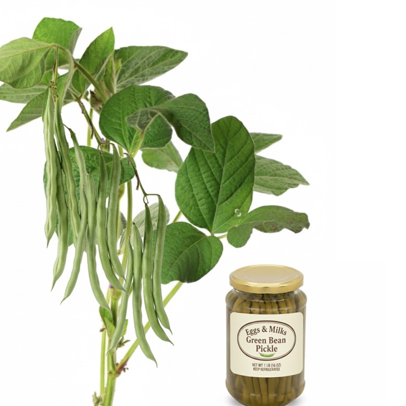 String Bean Pickle (16 oz) Homemade