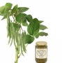 String Bean Pickle (16 oz) Homemade