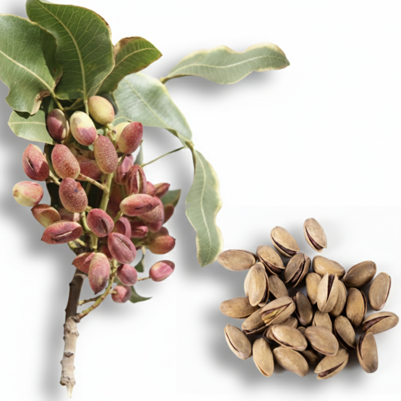 First Class Pistachio (1/2 Lb)