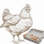 Organic Mixed Chicken Egg (Dozen)